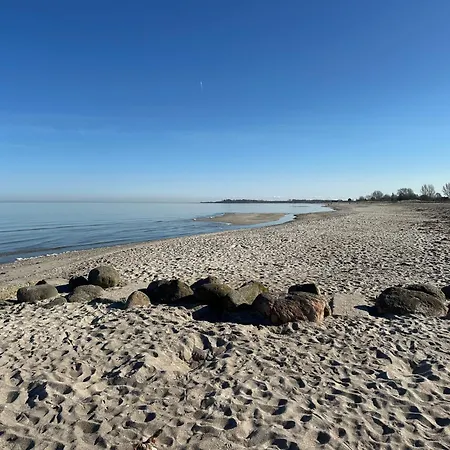 Gemuetliches Holzhaus Mit Sauna An Der Ostsee Und Schlei