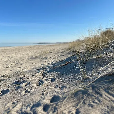 Gemuetliches Holzhaus Mit Sauna An Der Ostsee Und Schlei *